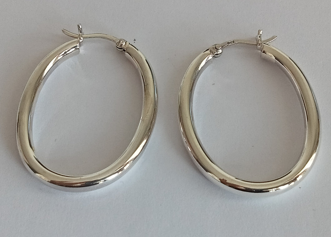 Oval Fixture Earrings